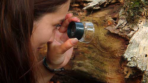 Walddetektive für Deutsche Umweltstiftung