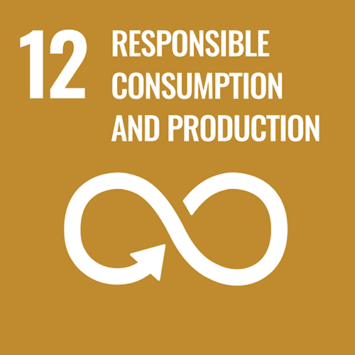 SDG 12: Repsponsible consumption and production